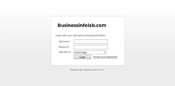 Businessinfolab